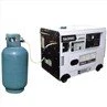 Ġeneratur tal-gass ta 'ħoss baxx ta' 7kw għall-Kampeġġ Home Backup Gass Naturali LPG LNG CNG Gass Generator Set